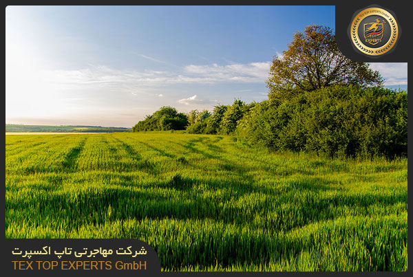 منطقه حفاظت شده یونسکو ایالت سارلند